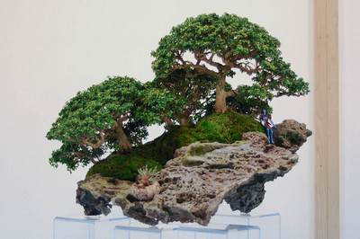 Podlewanie bonsai w czasie krótkiego urlopu / wakacji latem (do 5 dni)
